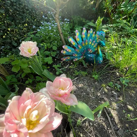 Landfeeling Appartement Brême