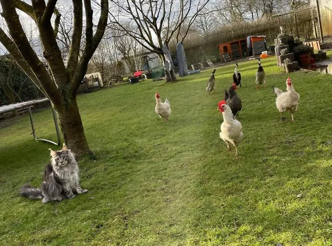 Landfeeling Apartment *