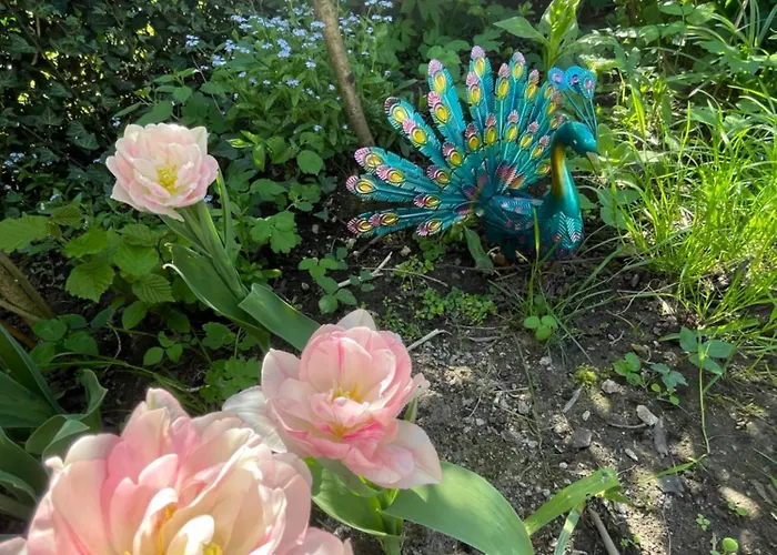 Landfeeling Appartement Brême